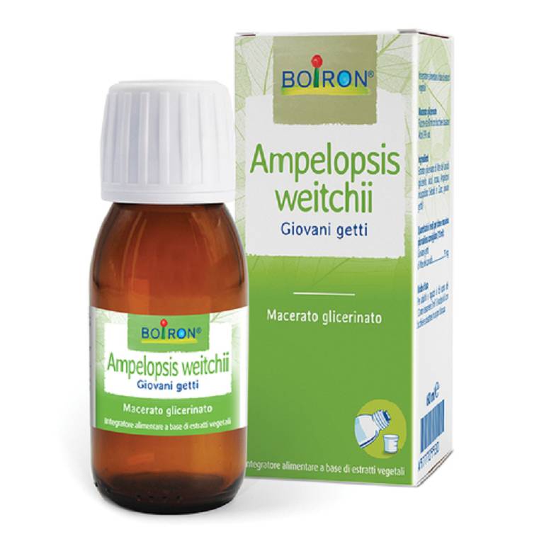 AMPELOPSIS WEI BOIRON MG 60ML