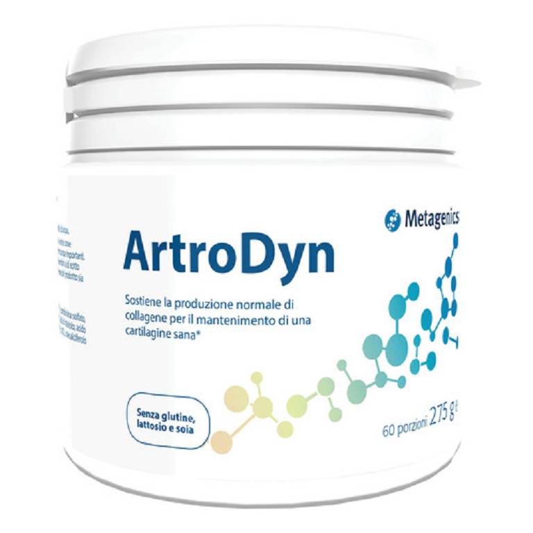 ARTRODYN 60 PORZIONI 275G