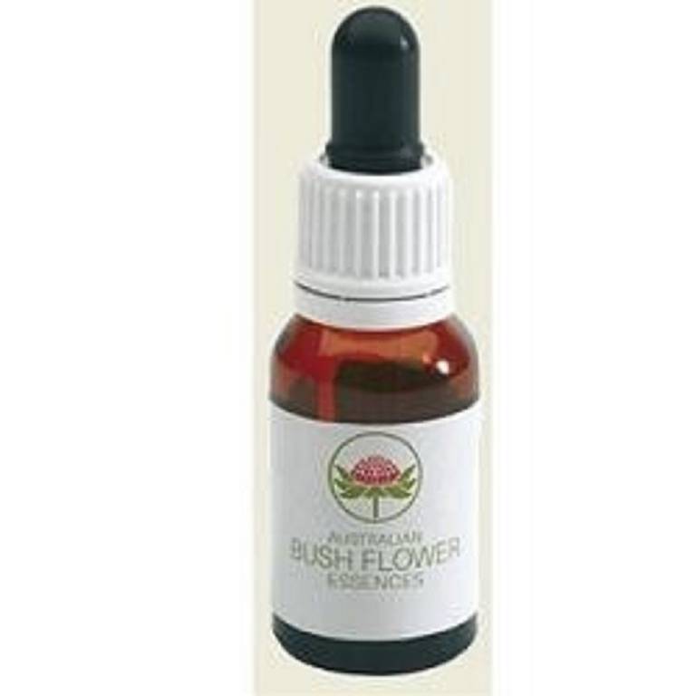 BLACK EYED SUSAN GOCCE 15ML