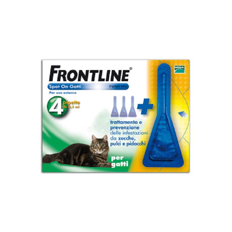 FRONTLINE*3PIP GATTI