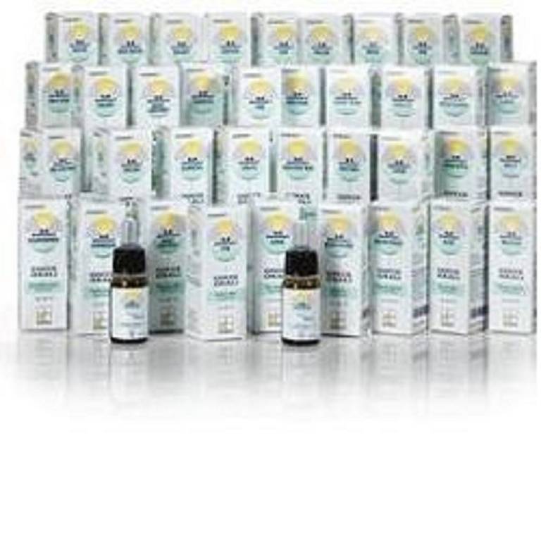 NOMABIT CERATO GL 6G