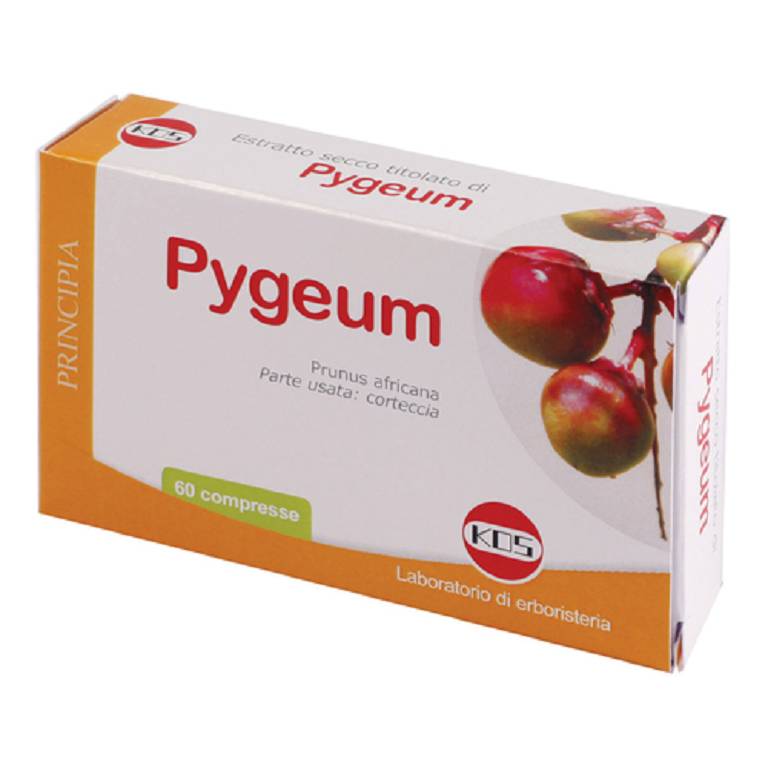 PYGEUM ESTRATTO SECCO 60CPR PYGEUM ESTRATTO SECCO 60CPR