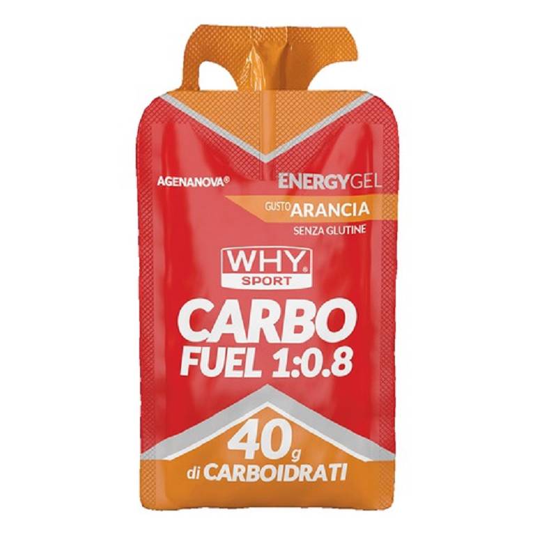 WHYSPORT CARBO FUEL 1:0,8 ARA