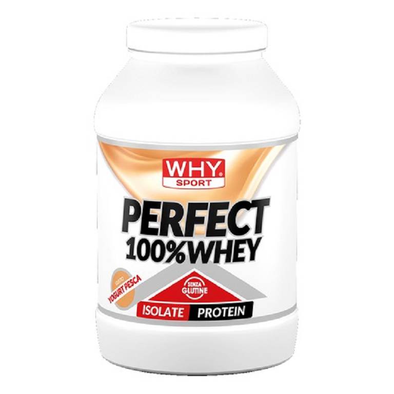 WHYSPORT PERFECT100% PESCA900G