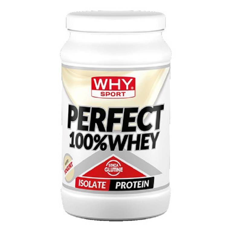 WHYSPORT PERFECT100% YOG 450G