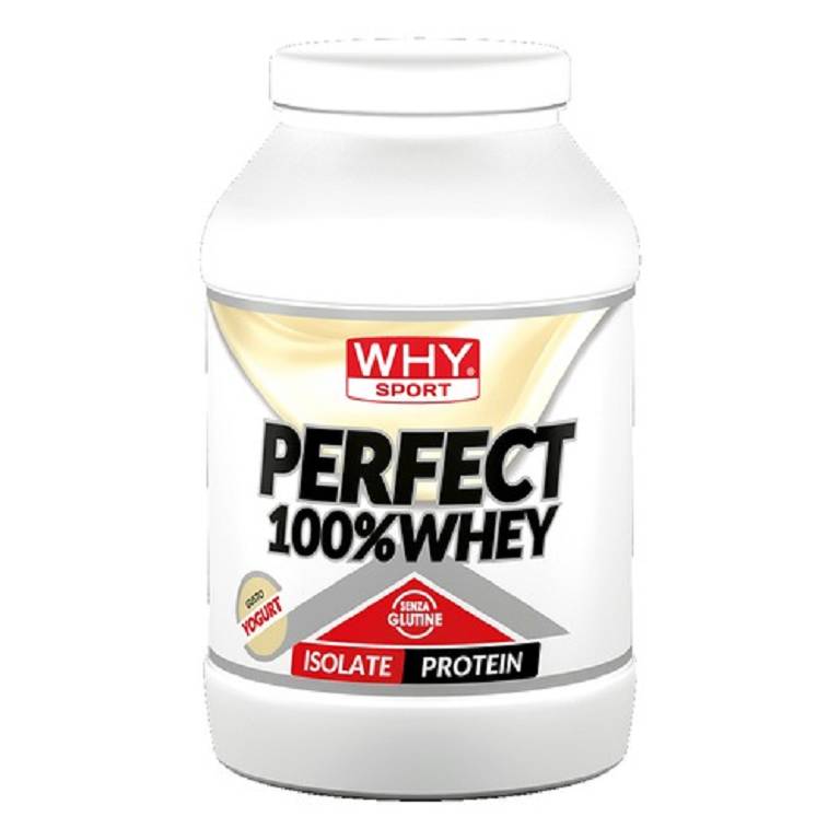 WHYSPORT PERFECT100% YOG 900G